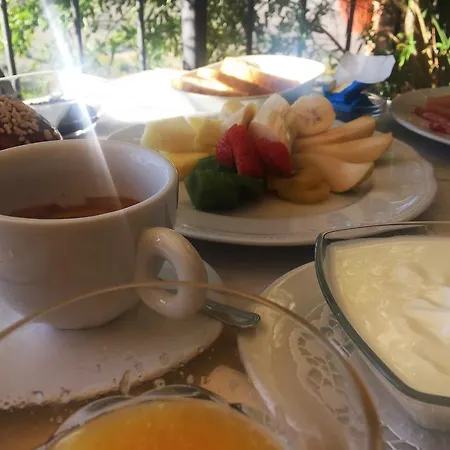 Daria - Deb's بيت ضيافة 4*