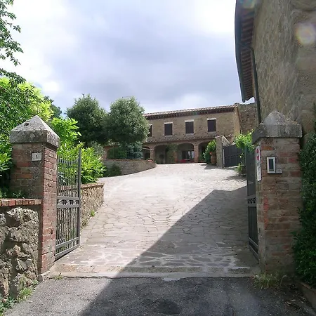 Konukevi Daria - Deb's